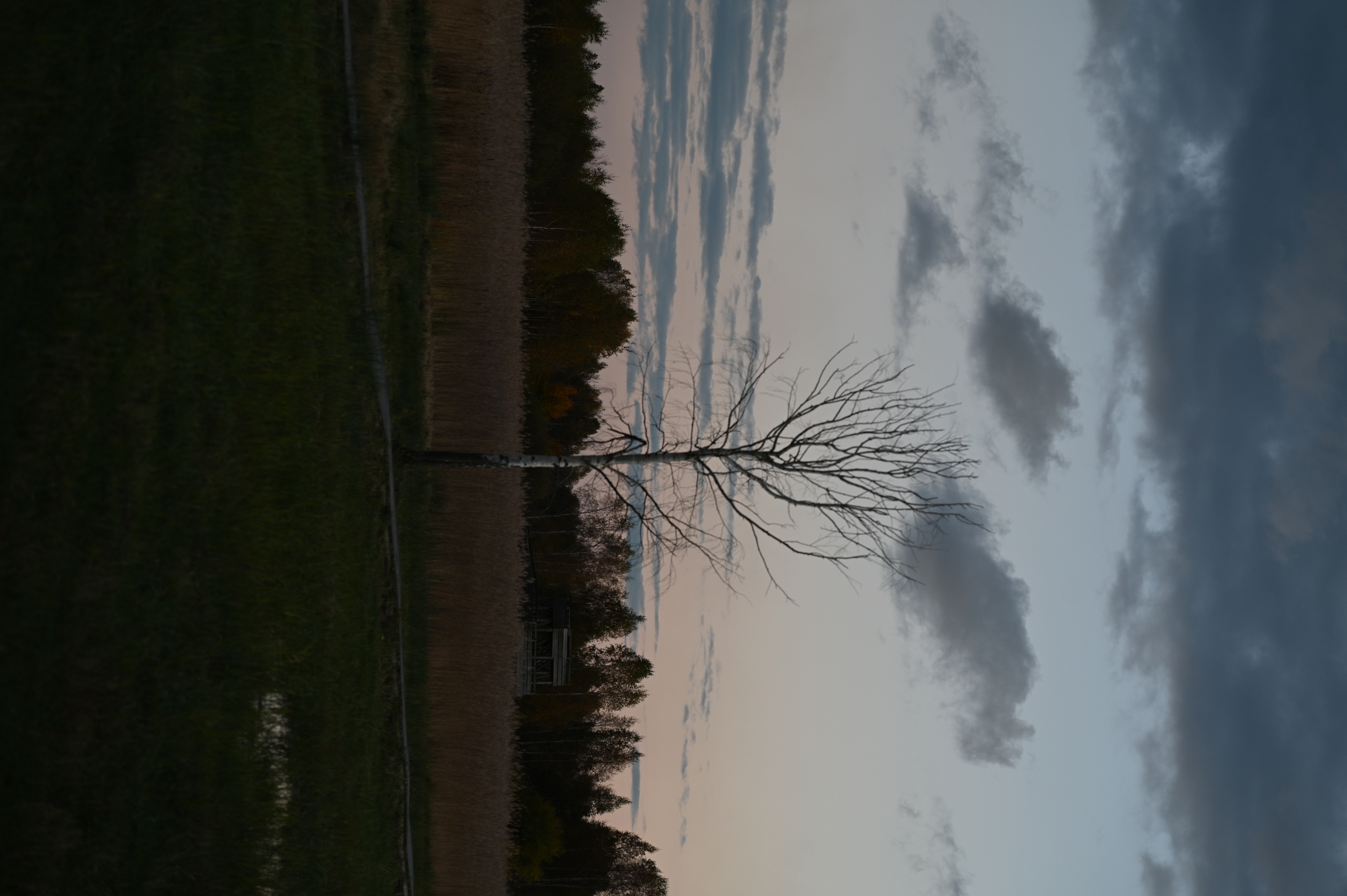 2025/10/18 - walk/DSC_0568.JPG